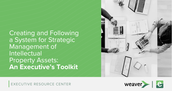 Creating and Following a System for Strategic Management of Intellectual Property Assets: An Executive's Toolkit Image